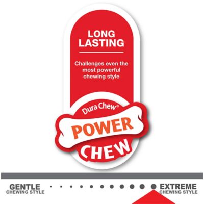 Image showing  Power Chew Femur Bone Alternative Dog Chew Toy, Large