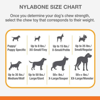Image showing 8 th Nylabone Power Chew Femur Bone Alternative Dog Chew Toy, Large