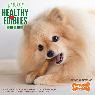 Image showing 6 th Nylabone Healthy Edibles All-Natural Long Lasting Chicken Flavor Dog Chew Treats 8 ct. X-Small/Petite