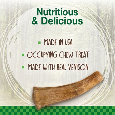 Image showing  Healthy Edibles WILD Antler Natural Long Lasting Venison Flavor Dog Chew Treats Medium (Pack of 10)