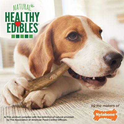 Image showing  Healthy Edibles WILD Antler Natural Long Lasting Venison Flavor Dog Chew Treats Medium (Pack of 10)