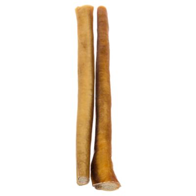 Image showing  12 in. Bully Stick 2 pk