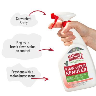 Image showing  Stain & Odor Remover Melon Burst Spray 32 oz.