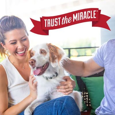 Image showing 8 th Nature's Miracle Advanced Stain and Odor Eliminator for Dogs, Sunny Lemon, 32 oz.