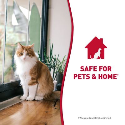 Image showing 5 th Nature's Miracle Just for Cats Stain & Odor Remover Spray 32 oz.