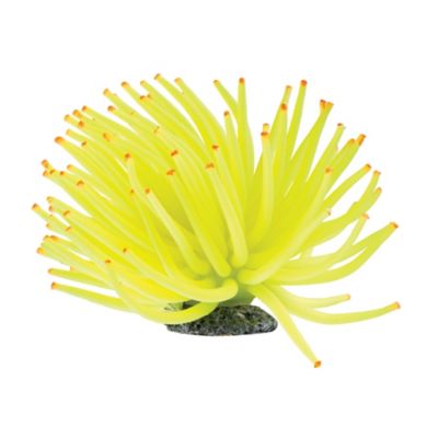 Image showing  Anemone Ornament, Yellow
