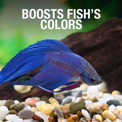 Image showing 6 th Tetra Food Betta Floating Pellets, 0.15 oz.