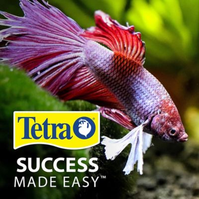 Image showing 8 th Tetra Food Betta Floating Pellets, 0.15 oz.