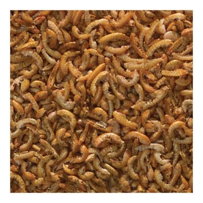 Image showing  3 in 1 Crisp Select A Food, 2.4 oz.