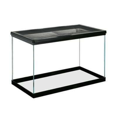 Image showing  Desert Starter Kit, 10 G