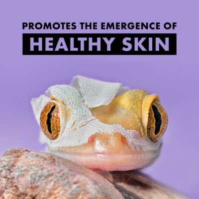 Image showing  Shed-Ease Reptile Bath, 8 oz.