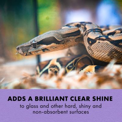 Image showing  Terrarium Cleaner Spray, 8 oz.