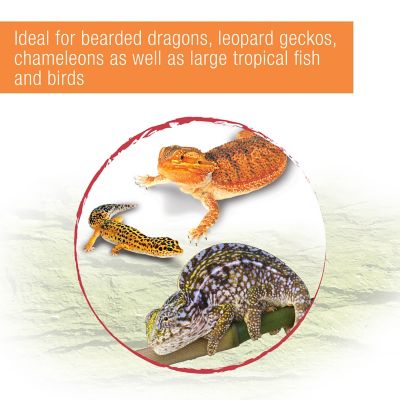 Image showing  Reptile Munchies Mealworms, 0.5 oz.