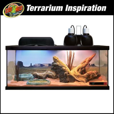 Image showing 4 th Zoo Med ReptiHabitat Terrarium Kit, Bearded Dragon 20 gal.