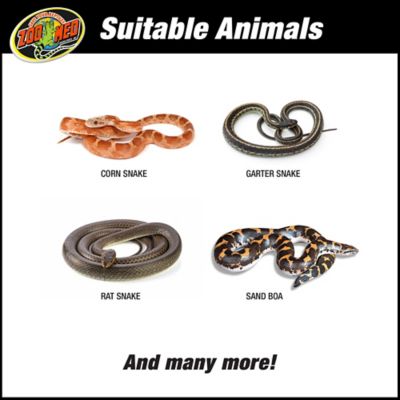 Image showing 5 th Zoo Med ReptiHabitat Terrarium Kit, Snake 20 gal.