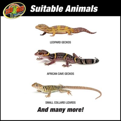 Image showing  ReptiHabitat Terrarium Kit, Leopard Gecko 10 gal.