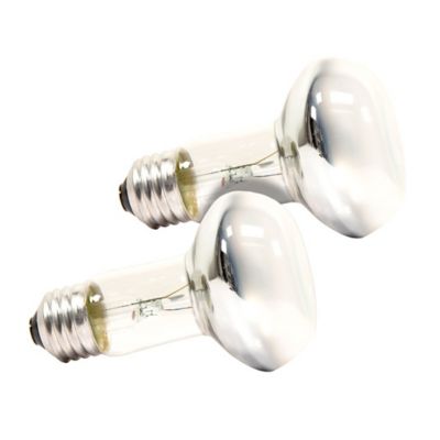 Image showing  Repti Basking Spot Lamp (2 pack), 75W