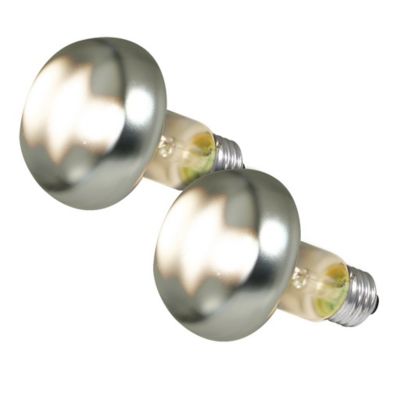 Image showing  Repti Basking Spot Lamp (2 pack), 100W