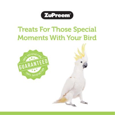 Image showing  Real Rewards Garden Mix Pet Bird Treats, 6 oz., 1008020