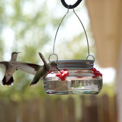 Image showing  6 oz. Mason Jar Hummingbird Feeder