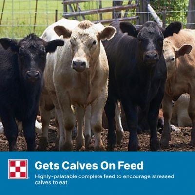 Image showing 6 th Purina Precon Complete Cattle Starter Calf Medicated DX Feed with RX3, 50 lb. Bag