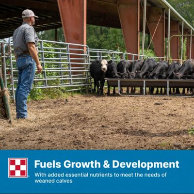 Image showing 7 th Purina Precon Complete Cattle Starter Calf Medicated DX Feed with RX3, 50 lb. Bag