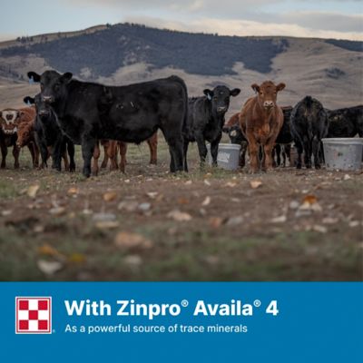 Image showing 8 th Purina Precon Complete Cattle Starter Calf Medicated DX Feed with RX3, 50 lb. Bag