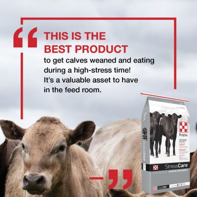 Image showing  Stress Care 5 Starter Supplement Calf Feed, 50 lb. Bag