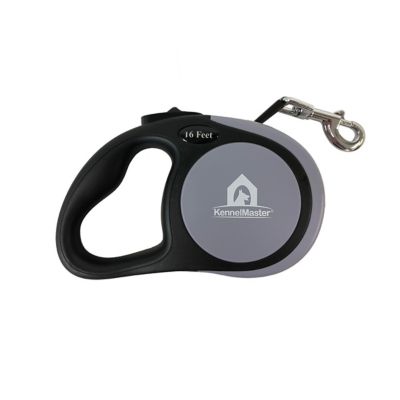 Image showing  Retractable Dog Leash