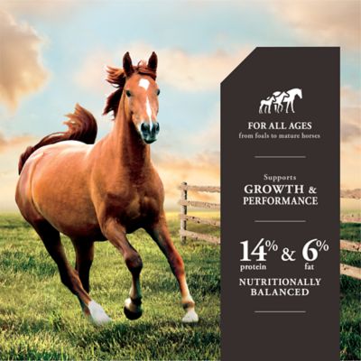 Image showing  Equistages Pelleted Horse Feed, 50 lb. Bag