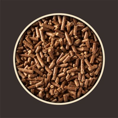 Image showing  Equistages Pelleted Horse Feed, 50 lb. Bag