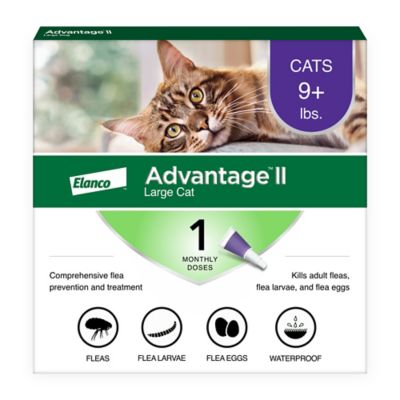 Advantage II Topical Flea Prevention for Cats