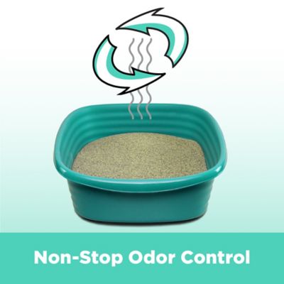 Image showing 5 th Arm & Hammer SLIDE Non-Stop Odor Control Scented Clumping Clay Cat Litter