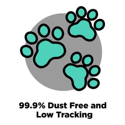 Image showing 6 th Arm & Hammer SLIDE Non-Stop Odor Control Scented Clumping Clay Cat Litter