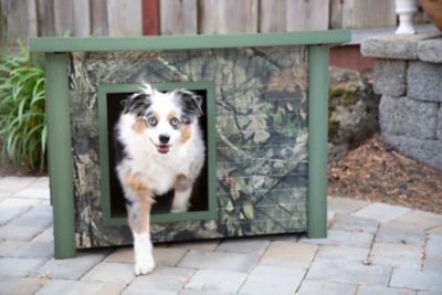 tractor supply igloo dog houses