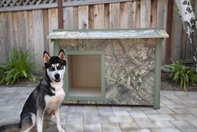 tractor supply insulated dog house