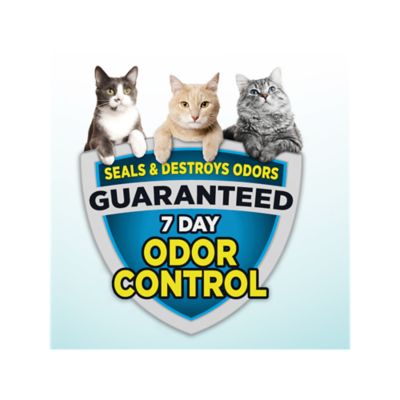 Image showing  Cloud Control Multi-Cat Clumping Cat Litter with Hypoallergenic Light Scent, 28 lb.