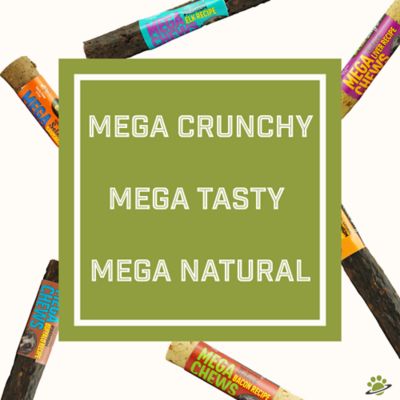 Image showing  Mega Chews Select Bacon Dog Chew, 10 in.