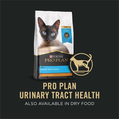 Image showing 6 th Purina Pro Plan Beef & Chicken Wet Cat Food, 3 oz. Can, 381175