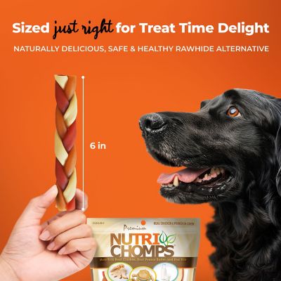 Image showing  6-inch Multi-Ply Assorted Flavor Braids, 10 ct. Dog Chews