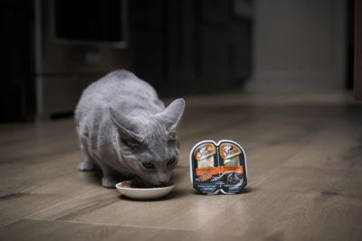 Image showing  Perfect Portions All Life Stages Gourmet Salmon Entree Cuts in Gravy Recipe Wet Cat Food Twin pk., 2.6 oz.