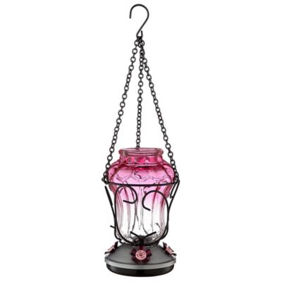 hummingbird feeder supplies