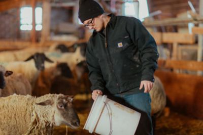 Image showing 5 th Carhartt Men's Detroit Ringspun Cotton Duck Jacket