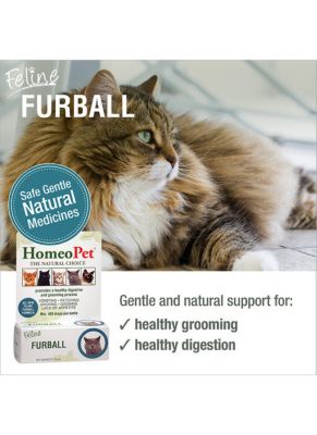 Image showing  Feline Furball 15ML