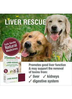 Image showing  Liver Rescue, 15 mL