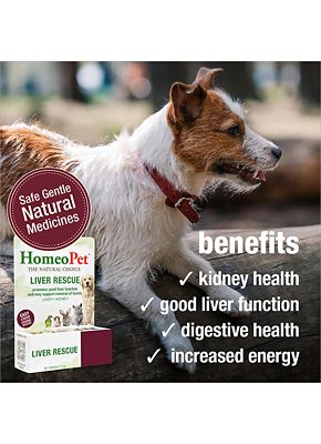 Image showing  Liver Rescue, 15 mL