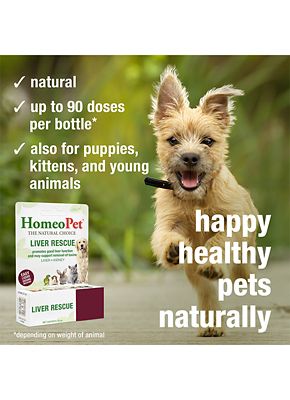 Image showing  Liver Rescue, 15 mL