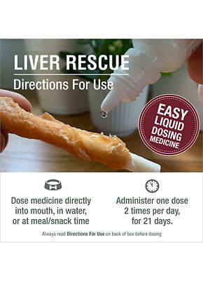 Image showing 5 th HomeoPet Liver Rescue, 15 mL