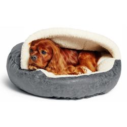 Dog Beds