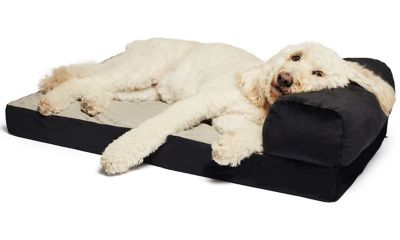 foldable pet bed